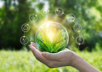 Green IT: quando l’informatica diventa sostenibile